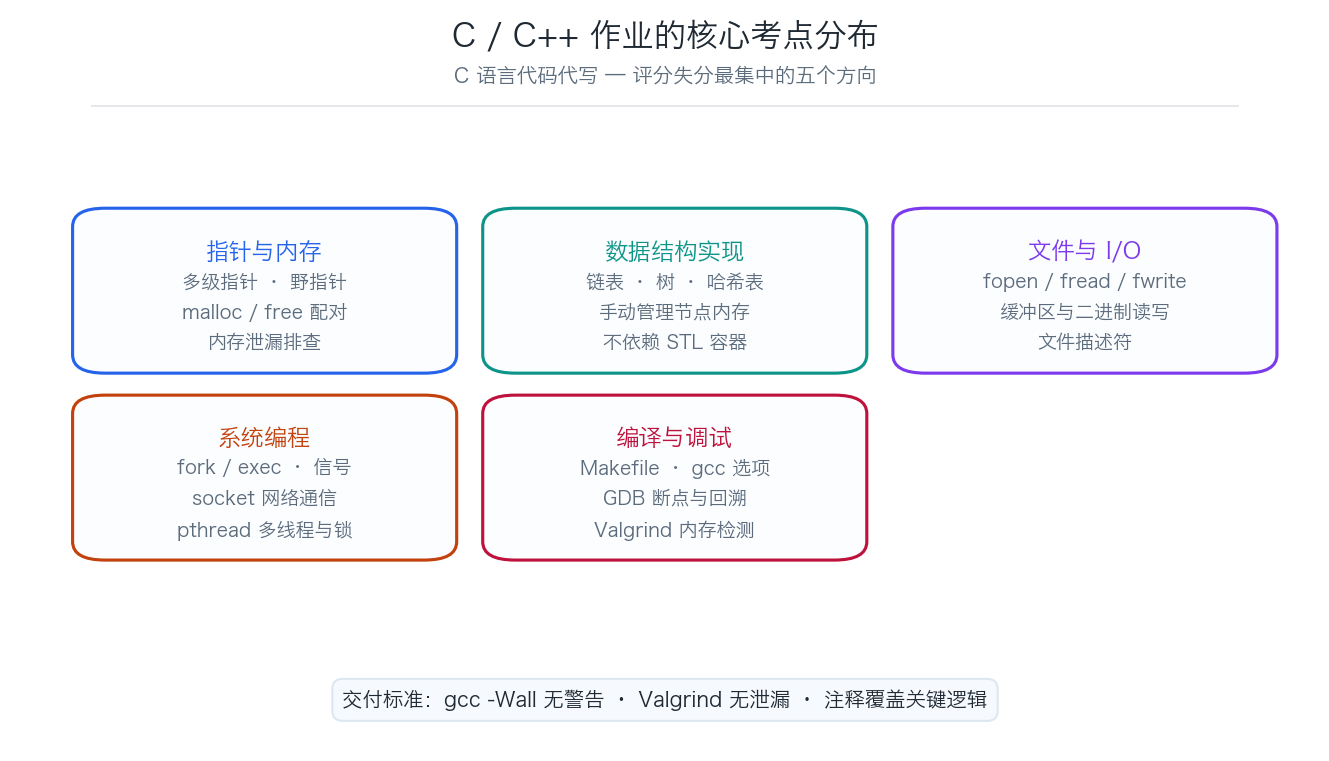 C/C++ 作业核心考点分布示意图